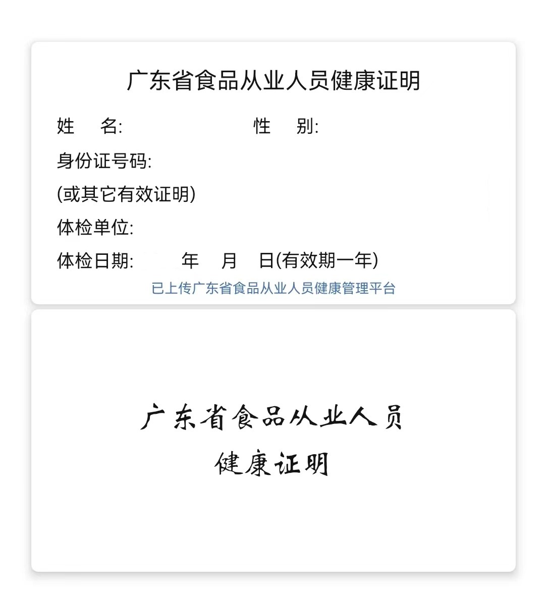 模板2预览