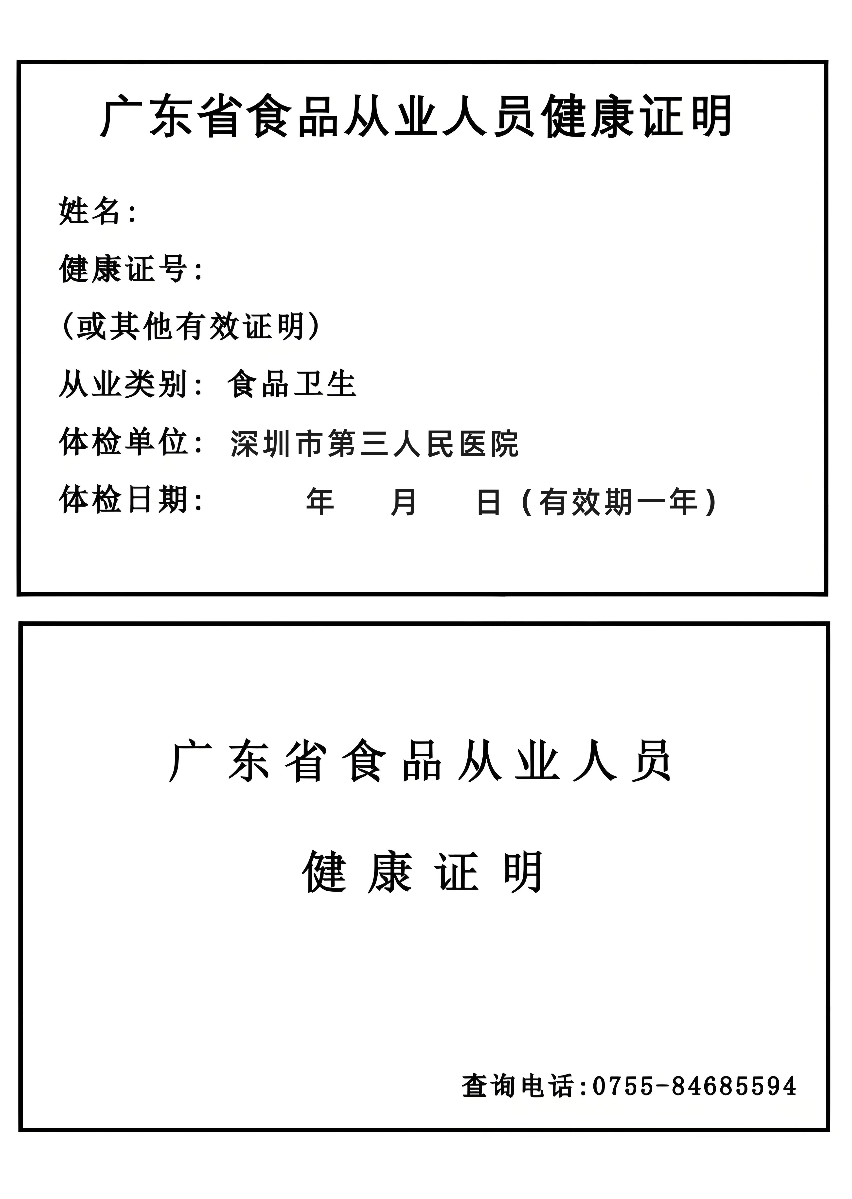 模板5预览