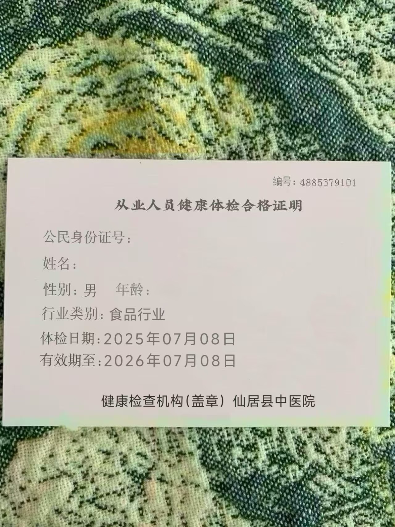 模板6预览